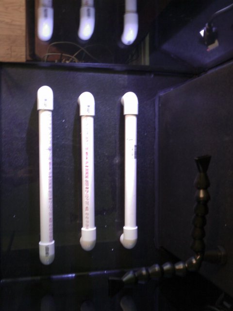 Phone Pictures 011.jpg