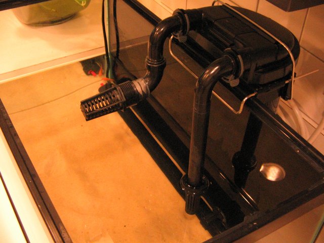 IMG_0008.JPG