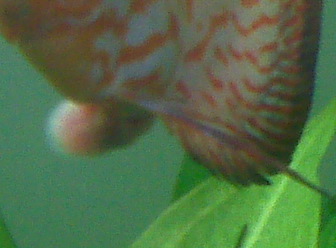 IMG00791.jpg IMG00791.jpg