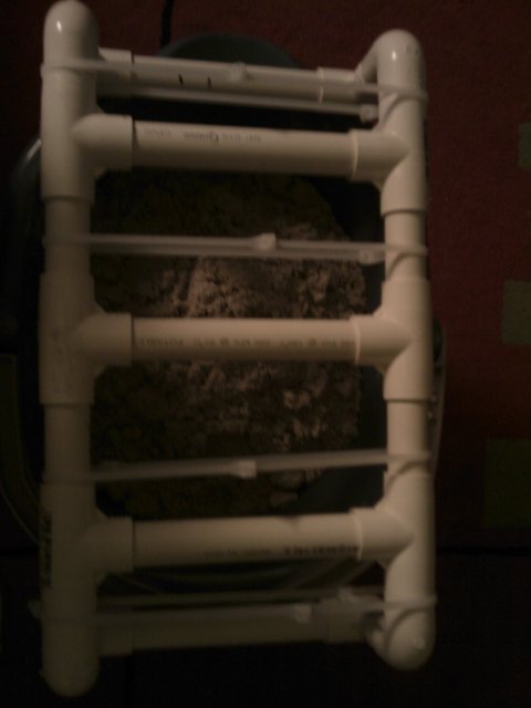 Phone Pictures 012.jpg