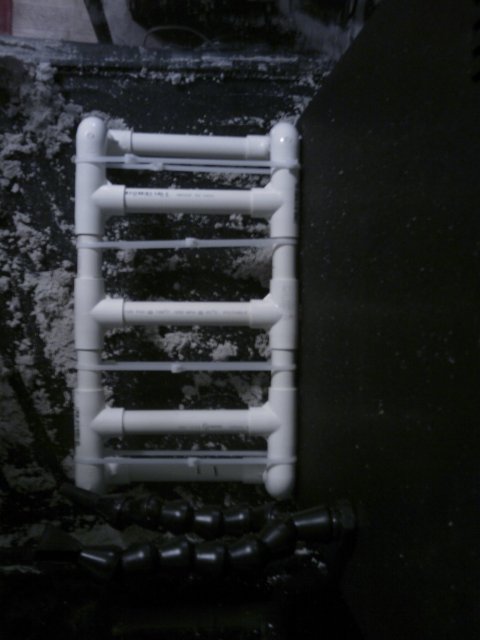 Phone Pictures 014.jpg