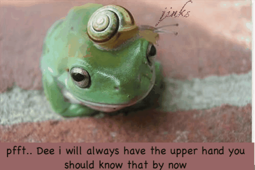 funny-pictures-frog-sexy-hat-1.gif