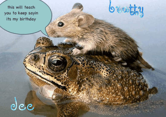 Mouse-Frog-frog-funny-animals-mo-1.gif