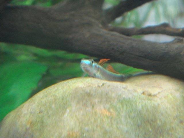 DSC02997.JPG