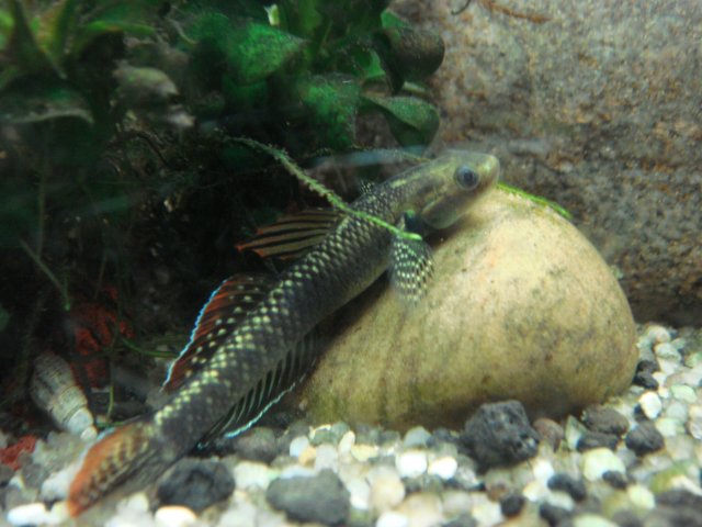 DSC03015.JPG