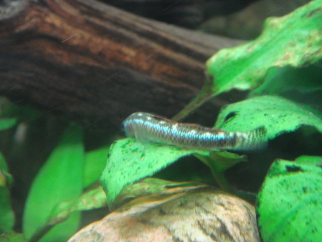 DSC03016.JPG