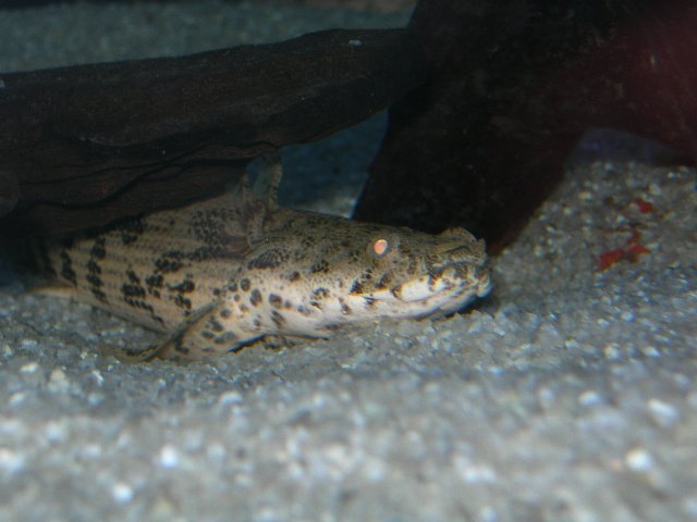 DSCN4660.JPG