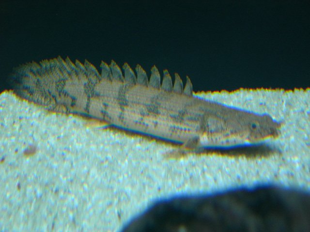 DSCN4669.JPG
