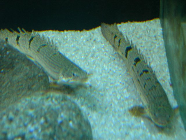 DSCN4676.JPG
