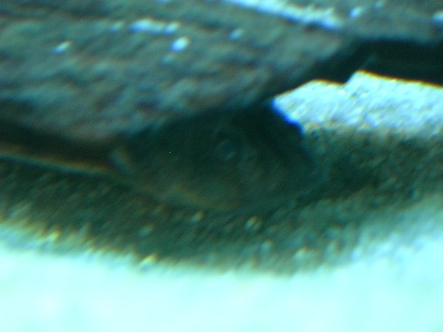 DSCN4677.JPG
