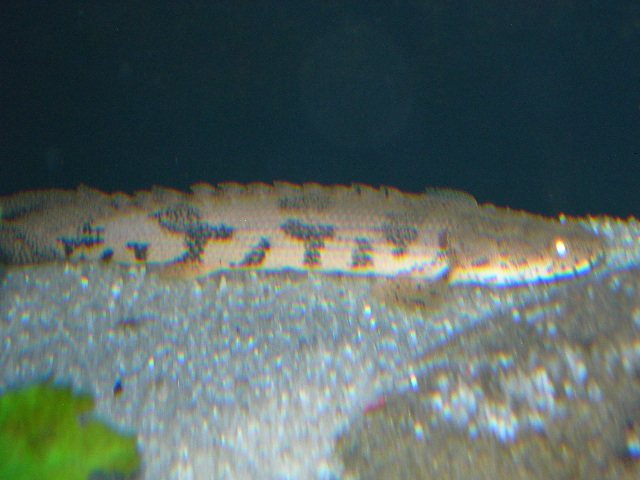 DSCN4680.JPG
