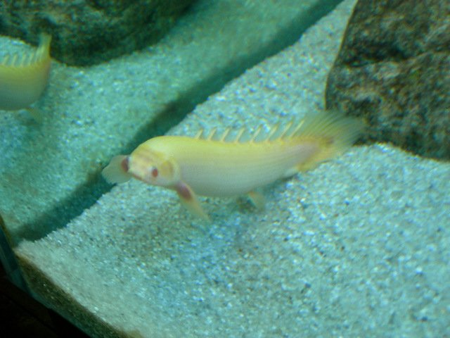DSCN4692.JPG