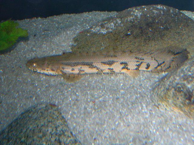 DSCN4687.JPG