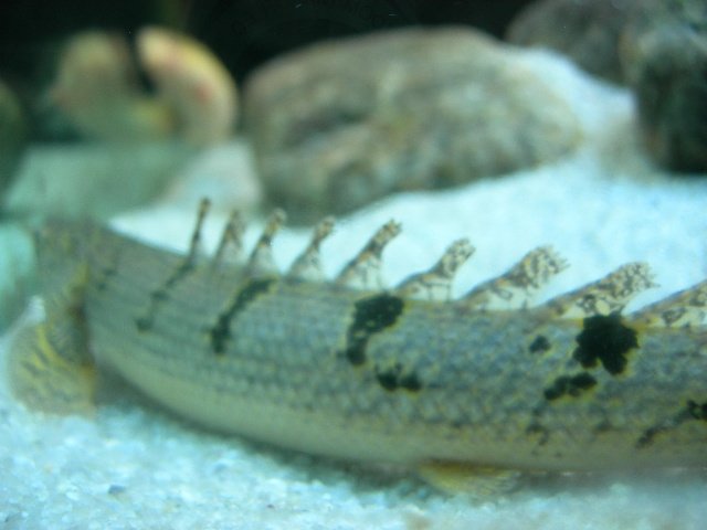DSCN4694.JPG