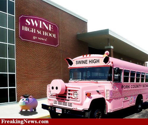 Pork-County-School-District--61592.jpg Pork-County-School-District--61592.jpg