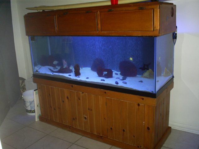 aquarium 002.JPG