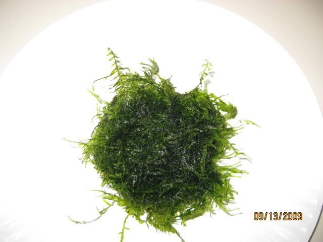 Picture 004.jpg