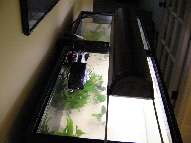 IMG_0010.JPG