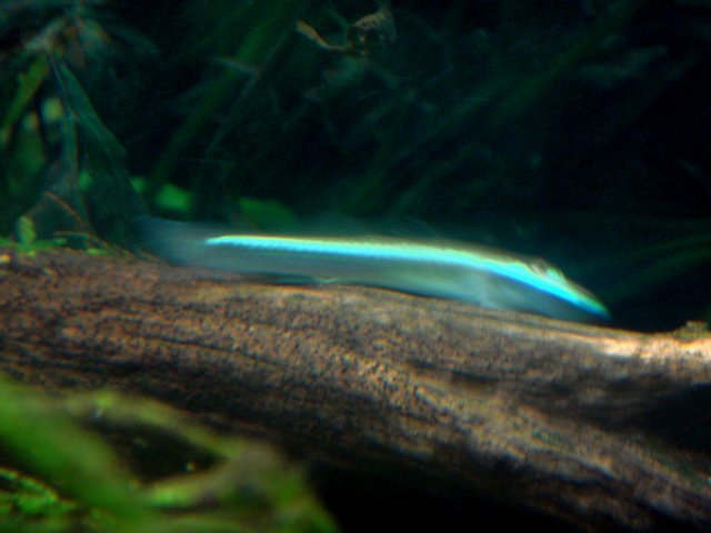 DSC03028.JPG
