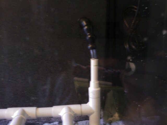 Phone Pictures 010.jpg