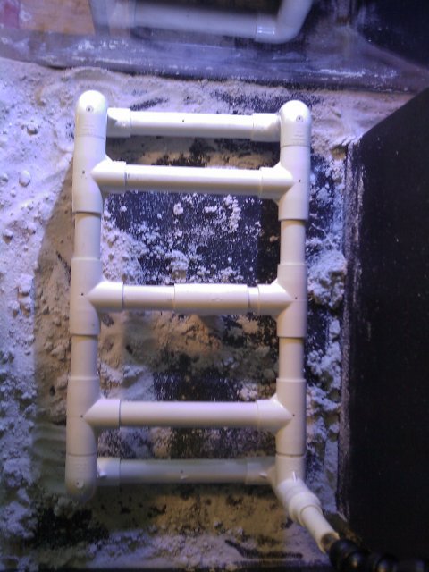 Phone Pictures 011.jpg