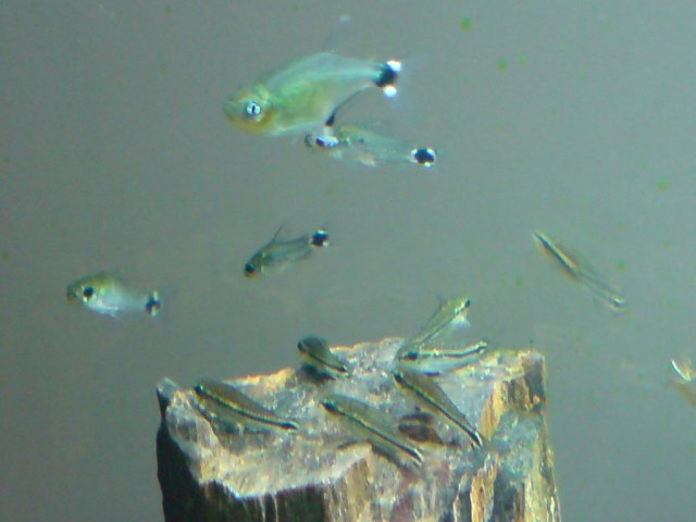 DSC02380.JPG
