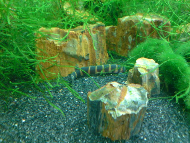 DSC02200.JPG DSC02200.JPG