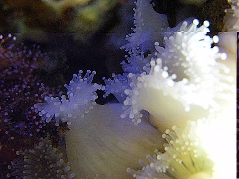 2009_091608729timelapse0005.JPG