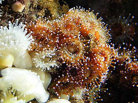 2009_091608729timelapse0006.JPG