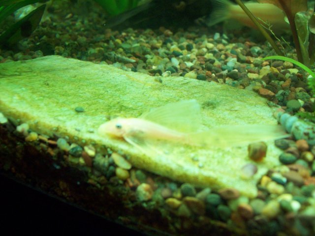 100_1902.JPG