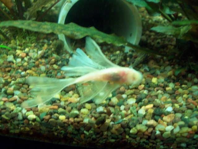 100_1903.JPG