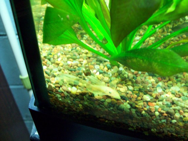 100_1907.JPG