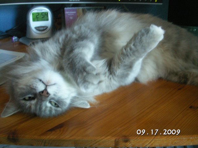 PICT0238.JPG