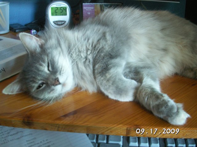 PICT0239.JPG