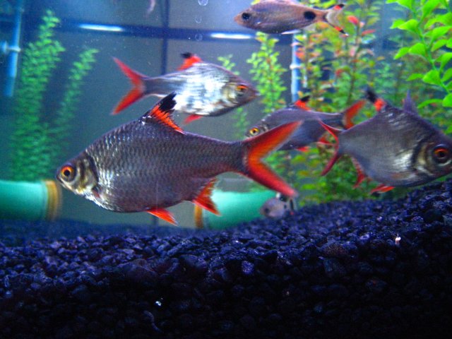 IMG_0024.JPG