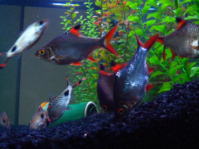 IMG_0025.JPG