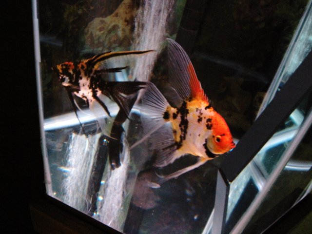 DSCN6830.JPG