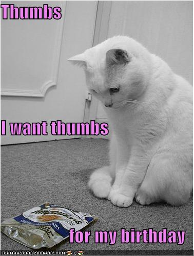 funny-pictures-cat-wants-thumbs-for-his-birthday.jpg
