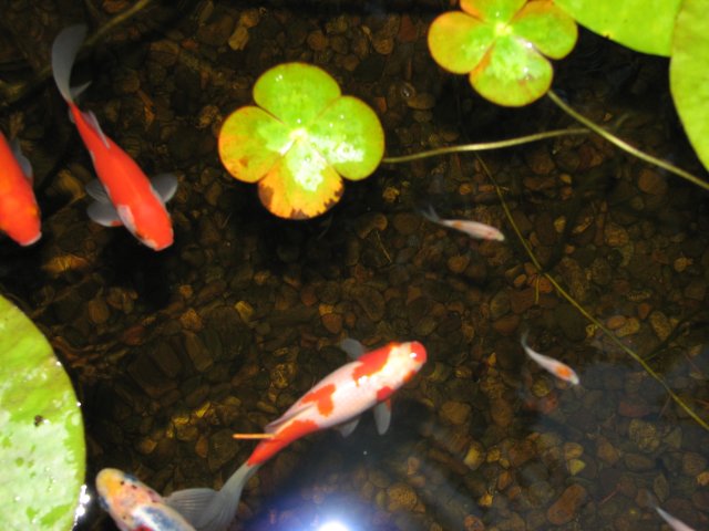 IMG_5608.JPG