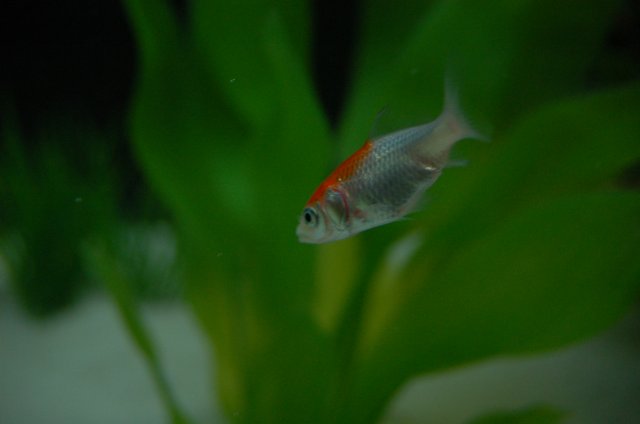 DSC_2299.JPG