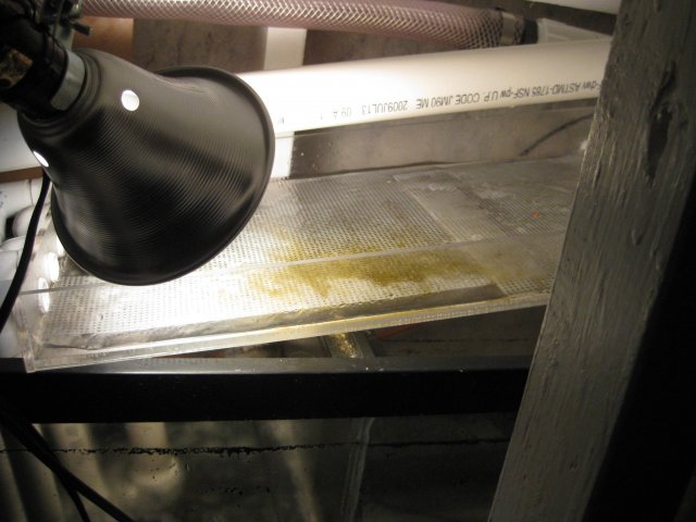 IMG_1272.JPG