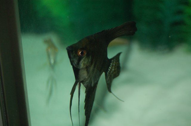DSC_2365.JPG