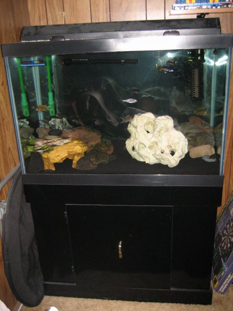 Fish tank.jpg