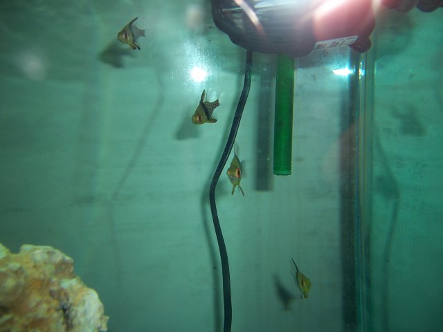 100_0819.JPG 100_0819.JPG