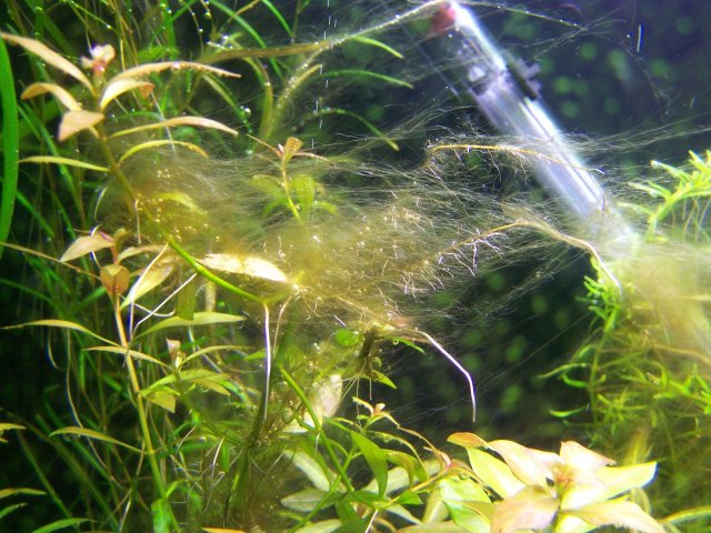 100_2028.JPG