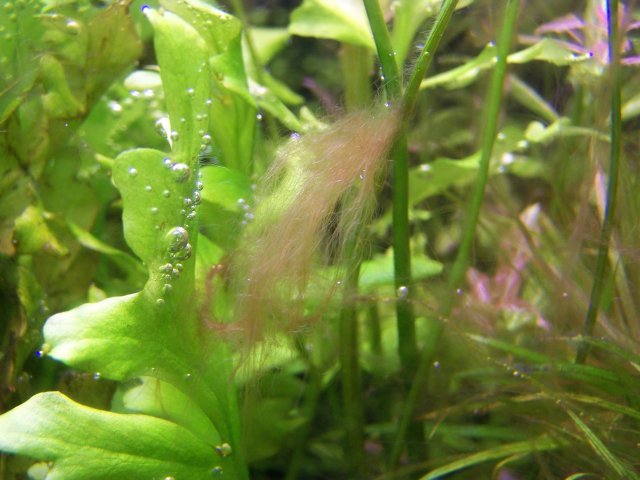100_2034.JPG