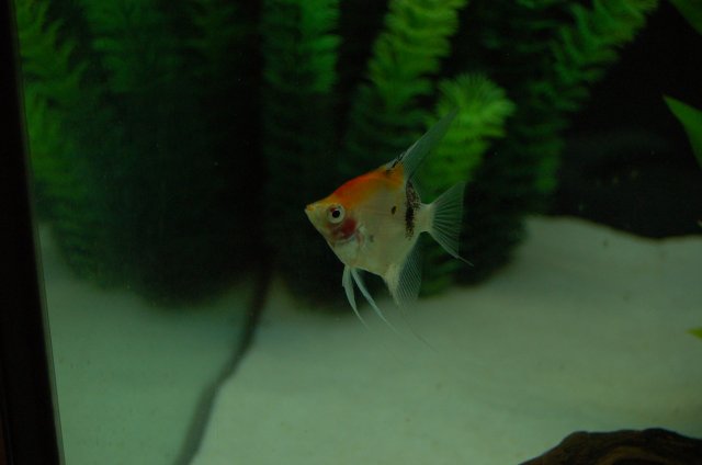 DSC_2393.JPG