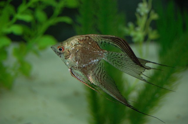 DSC_2406.JPG