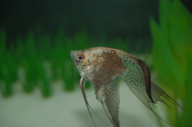 DSC_2412.JPG