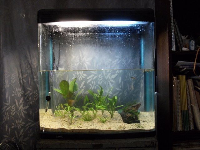 DSCF1382.JPG